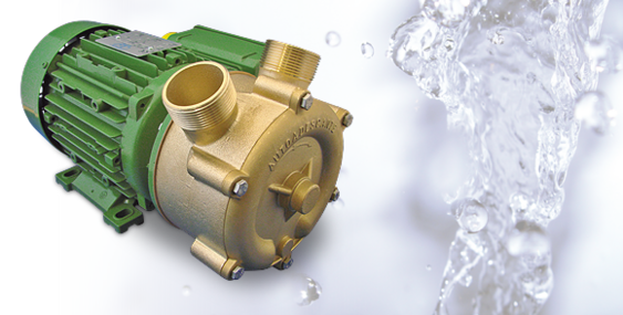 Bronze - Seitenkanalpumpen mit Motor