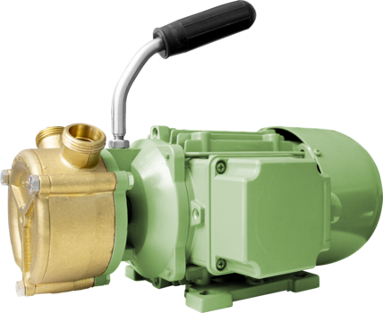 Bronze - Seitenkanalpumpen mit Motor