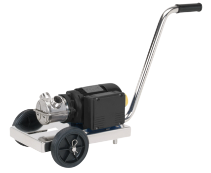 Edelstahl - Seitenkanalpumpen mit Motor