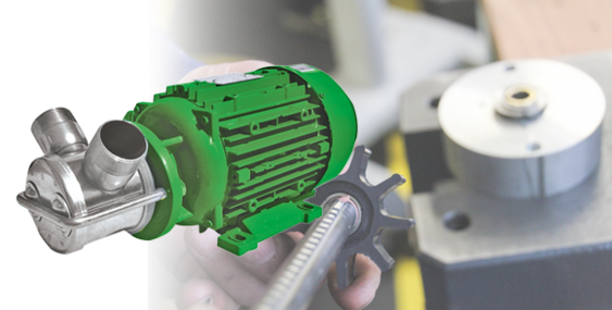 NIROSTAR 2000-D mit Motor, direkt angeflanscht