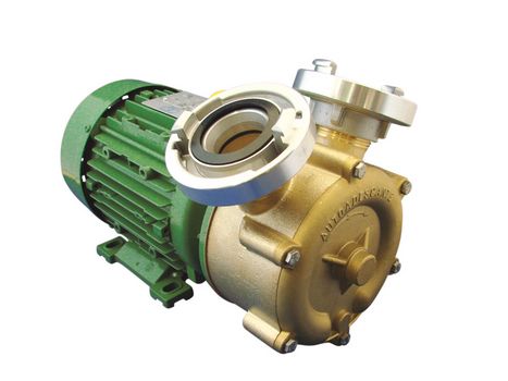 Bronze - Seitenkanalpumpen mit Motor