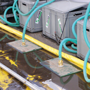 Flachsaugset Basic Flachsaug Pumpe